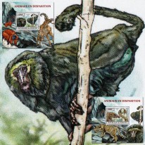 Koczkodan i Łuskowiec