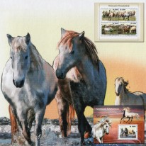 Dzikie Konie Rasy Camargue