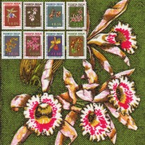 Orchidee