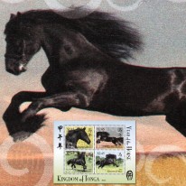 Chiński Rok Konia