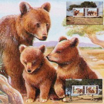 Niedźwiedź Brunatny