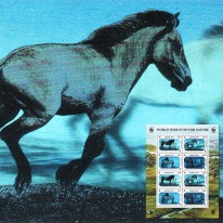 Koń Przewalskiego Hologram...