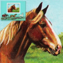 Koń