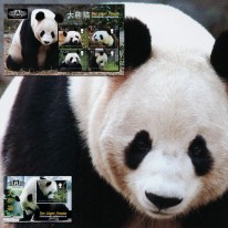 Panda Wielka Beijing 2010