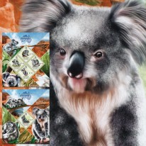 Koala