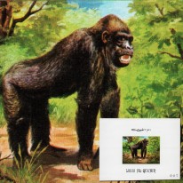 Goryl