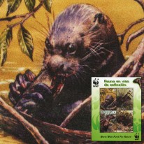 Arirania Amazońska WWF
