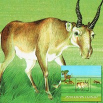 Suhak Stepowy