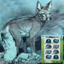 Lis Stepowy WWF Hologram...