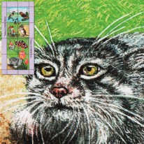 Szczygieł Motyle Manul