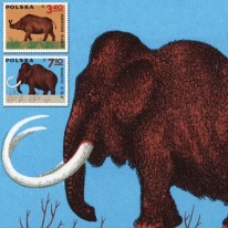 Fauna Prehistoryczna Mamut...