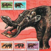 Ewolucja Słoni Mamut Mastodont