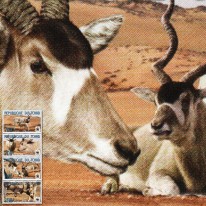 Antylopa Adaks Pustynny WWF