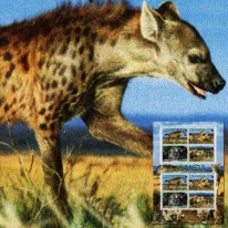 Hiena Cętkowana WWF