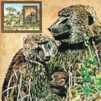 Pawian Oliwkowy