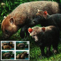 Pakożer Leśny WWF