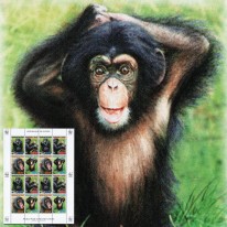 Szympans WWF
