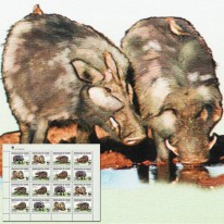 Dzikacz Leśny WWF
