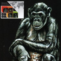 Szympans Goryl Orangutan