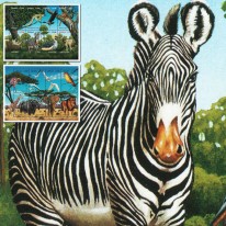 Szympans Słoń Lew Sęp Zebra...