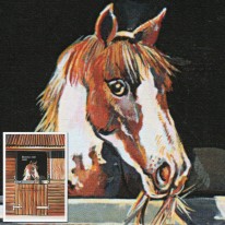 Kuc Szetlandzki