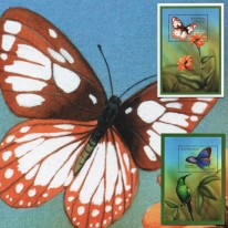 Motyle