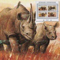Nosorożec Czarny WWF