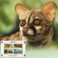 Cyweta i Żeneta WWF