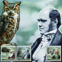 Darwin Motyl Żółw Puchacz