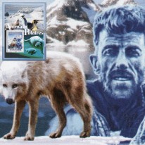 Wilk Polarny Edmund Hillary