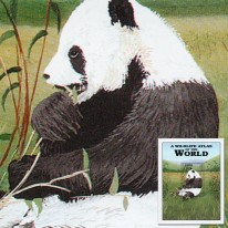 Panda Wielka