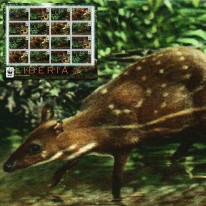 Wodnokanczyl Afrykański WWF