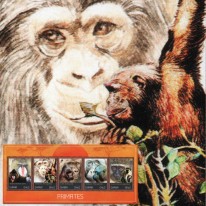 Szympans Orangutan Mandryl...