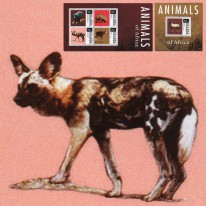 Koczkodan Likaon Mrównik Okapi