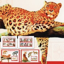 Lampart Gepard Hiena Szakal