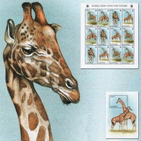 Żyrafa Ugandyjska WWF