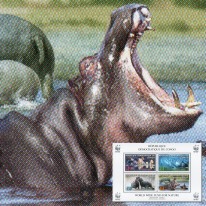 Hipopotam Nilowy WWF