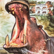 Hipopotam Nilowy