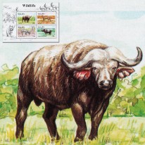 Bawół Gepard Kudu Nosorożec