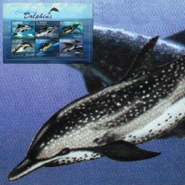 Delfiny
