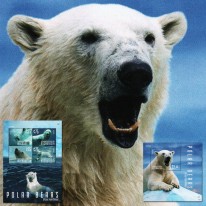 Niedźwiedź Polarny