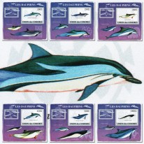 Delfiny Garbogrzbiet Butlonos