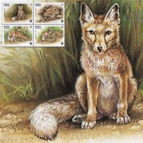 Lis Stepowy WWF