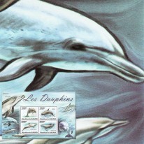 Delfiny