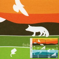 Rok Bioróżnorodności Fauna