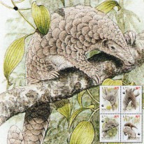 Łuskowiec Chiński WWF