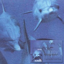 Delfin Butlonos
