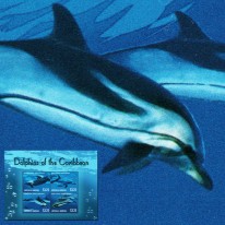 Delfiny