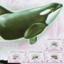Delfiny i Latarnie Morskie