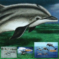 Delfiny Butlonos Orka